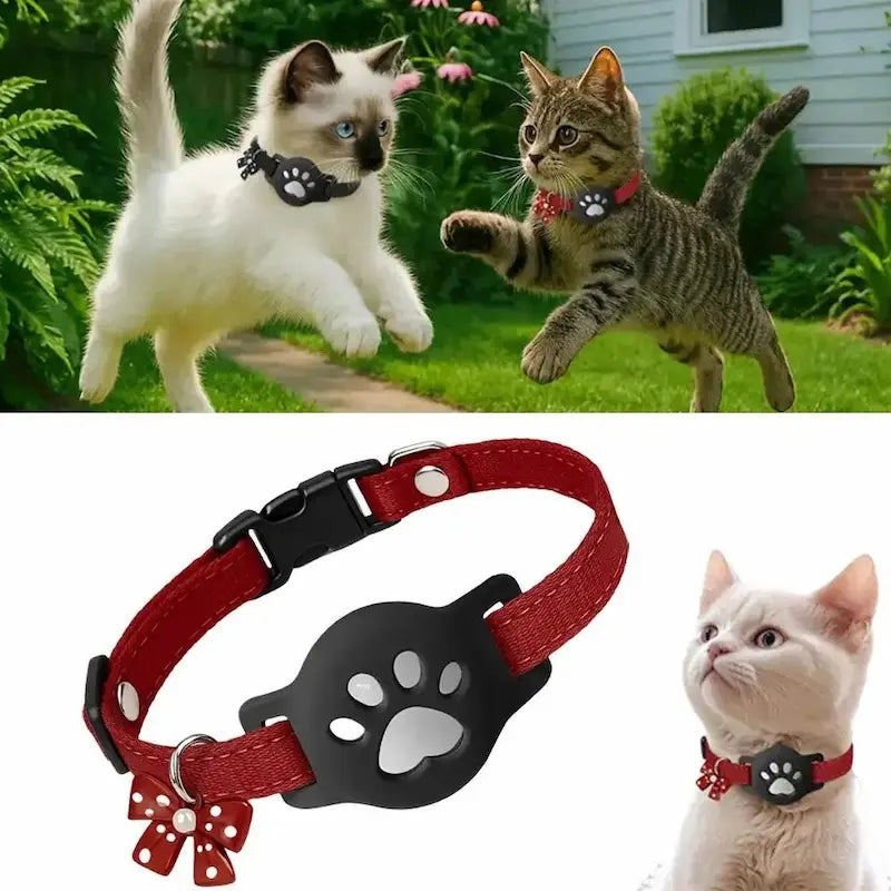 accessoire chat sécurisé