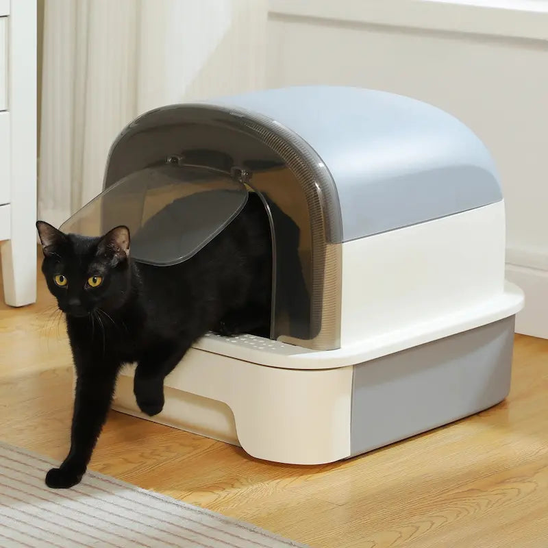 hygiène et confort chat