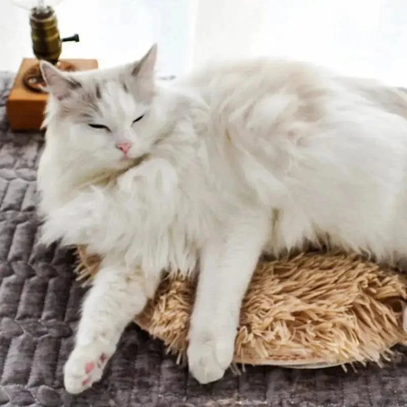 coussin chaleur douce
