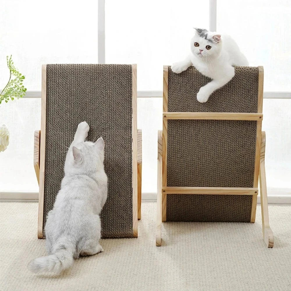espace de jeu pour chat
