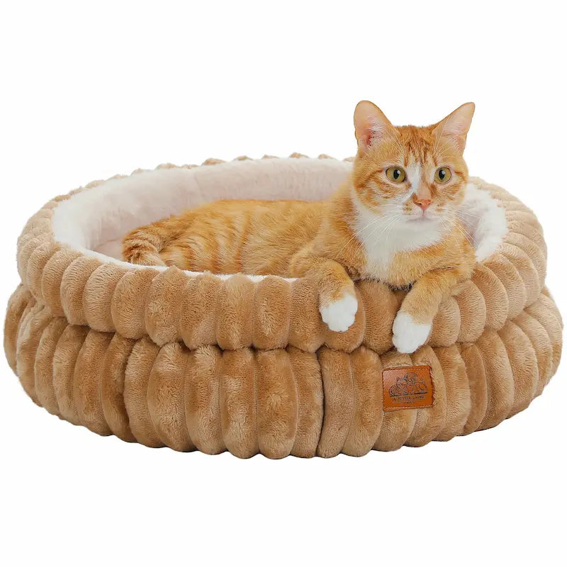 nid chat moelleux