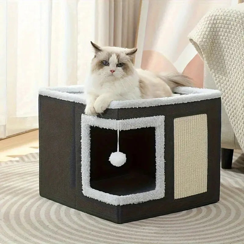 maison cube chat design