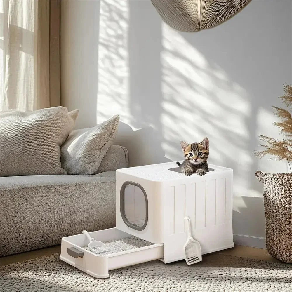 toilette anti odeur