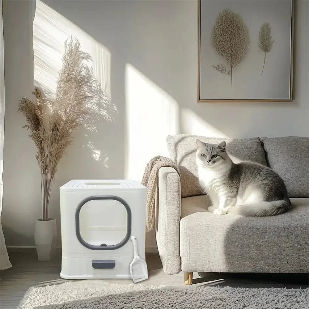 confort maison chat