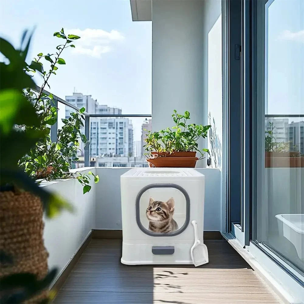 espace litière chat