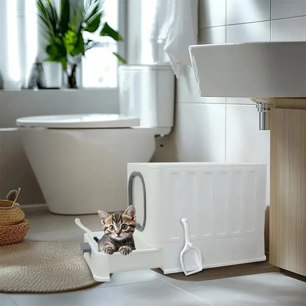 design moderne litière