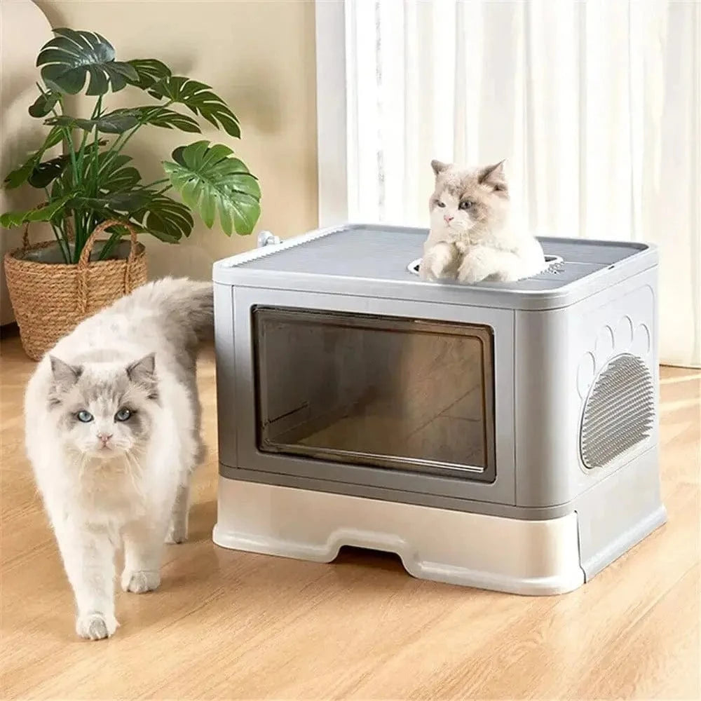 maison de toilette chat XXL