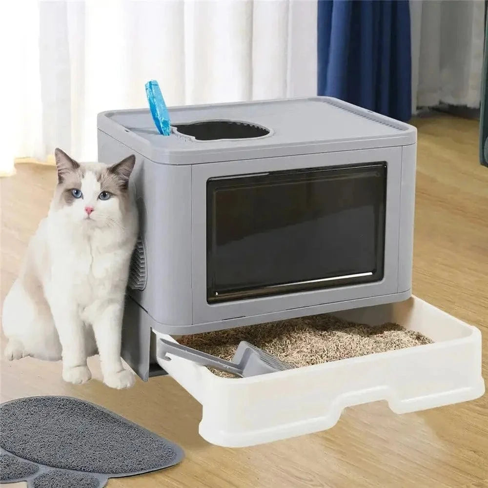 toilette anti-odeurs chat