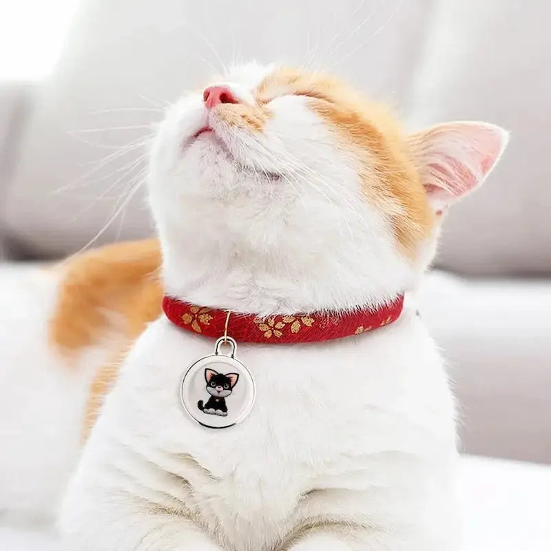 badge Bluetooth chat PawTrack