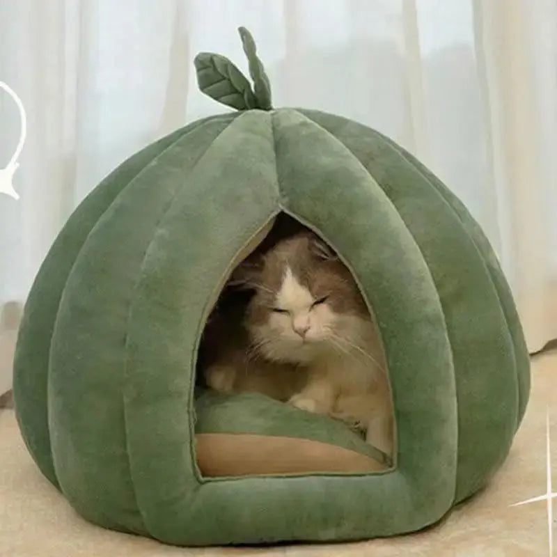 Panier chat citrouille design