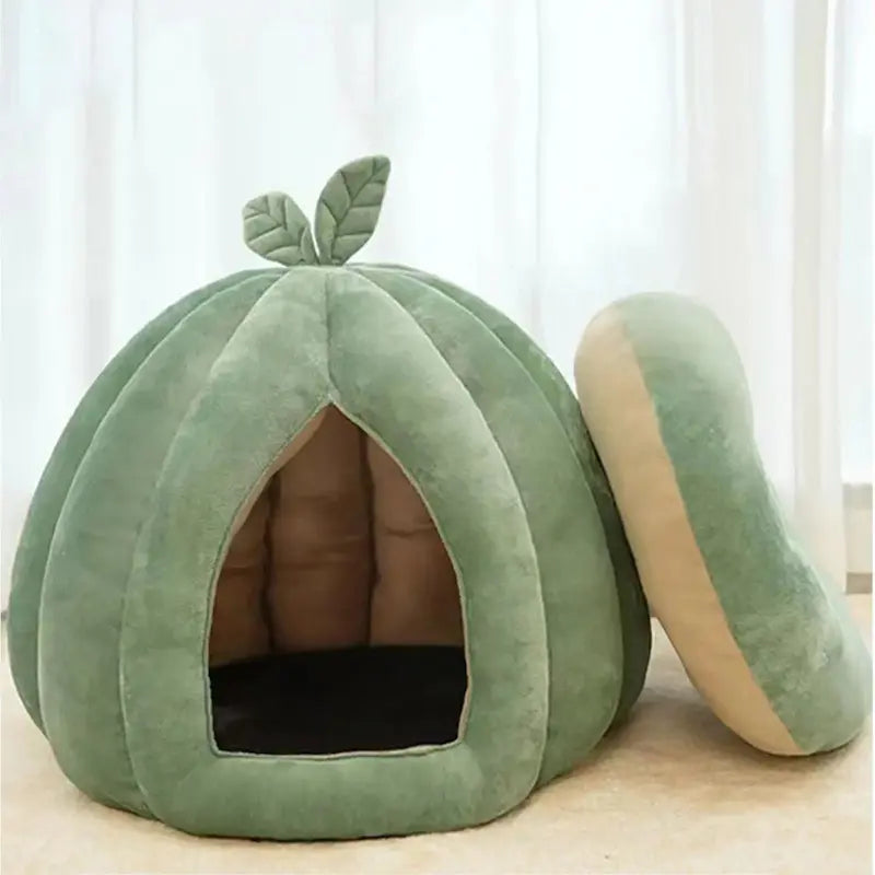 Confort cocooning pour chat