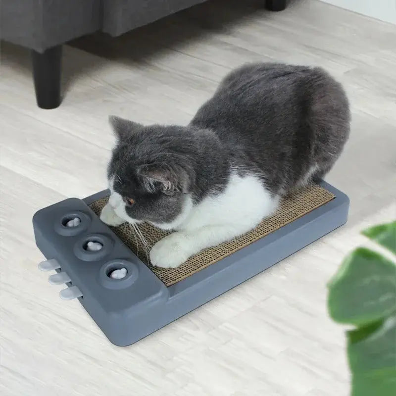 Protège meubles pour chat