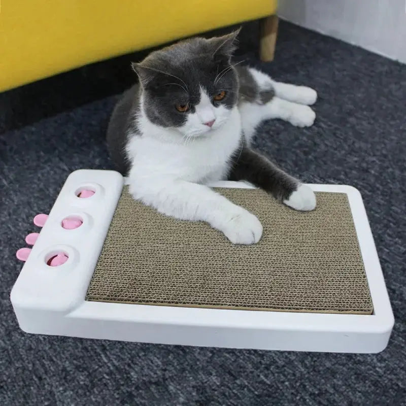 Accessoire griffoir pour chat