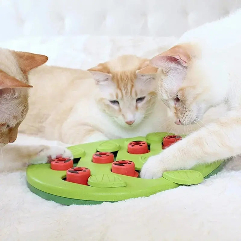Puzzle friandises chat