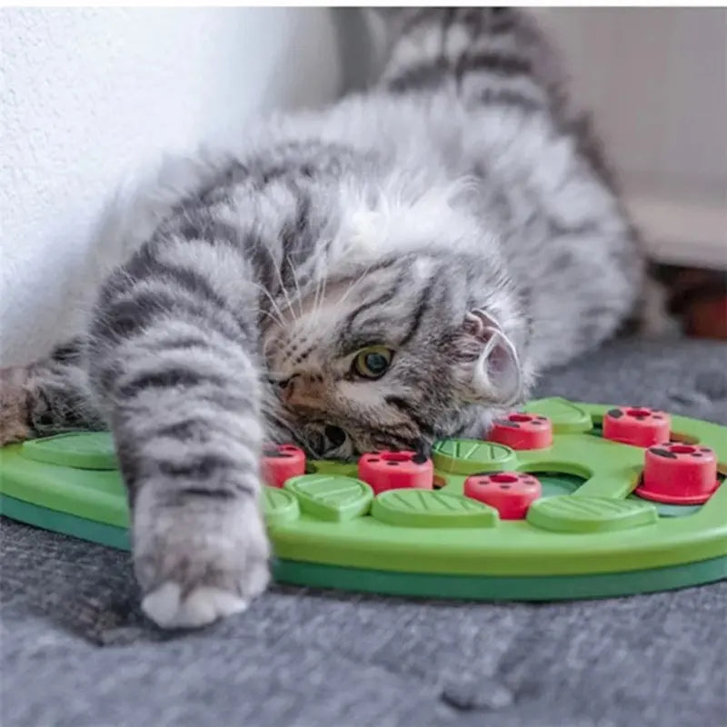 Jeu intelligent pour chat