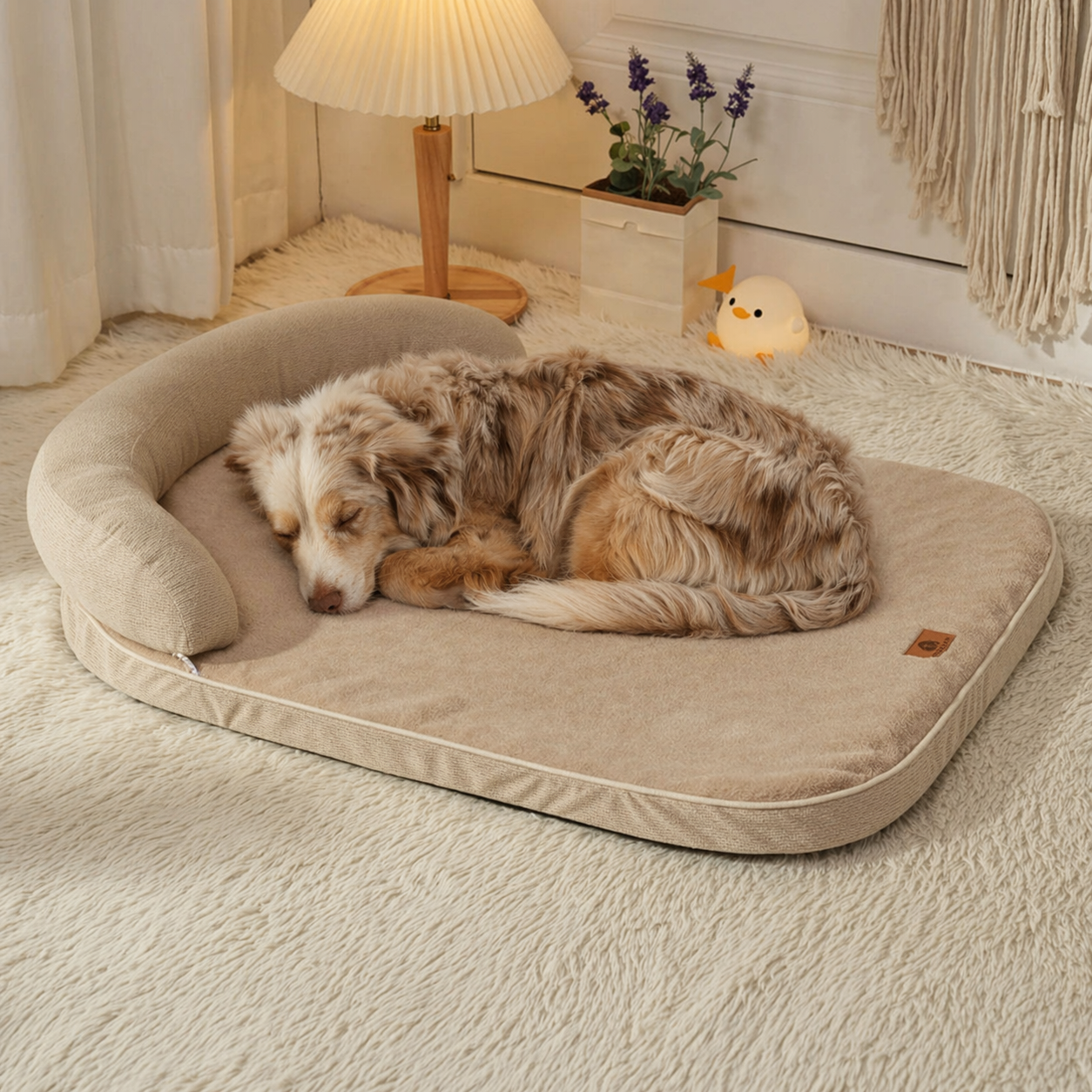matelas ergonomique pour chien