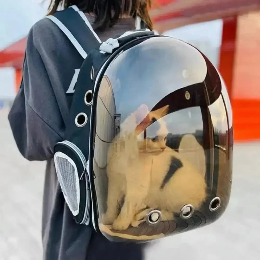 sac à dos bulle chat