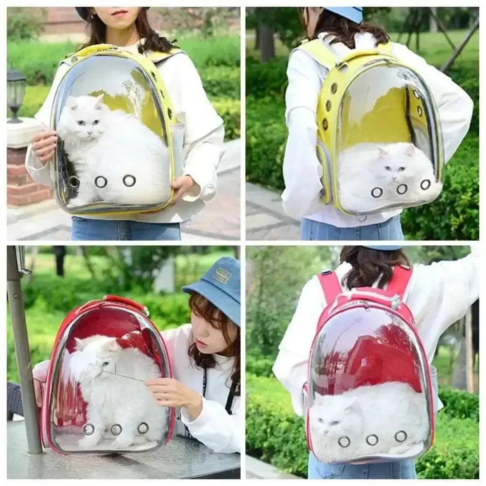sac à dos chat panoramique