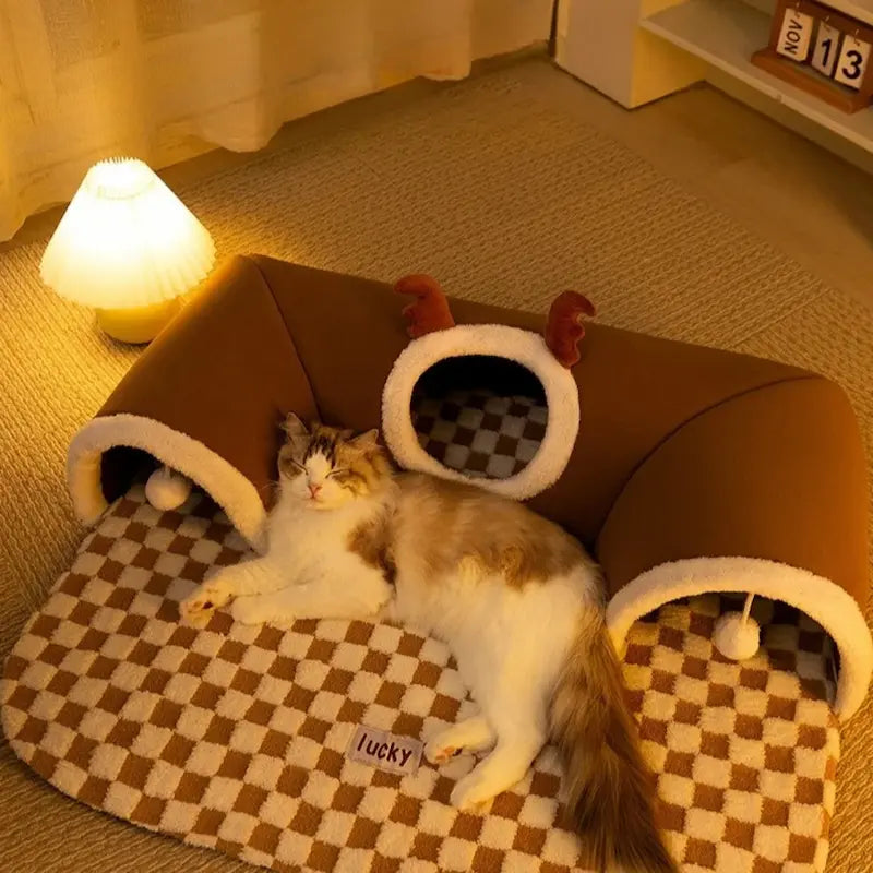 espace de jeu pour chat