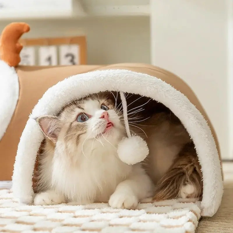 confort chat tapis tunnel