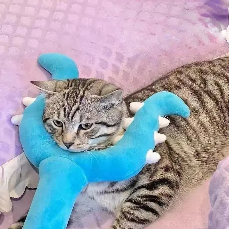 chat heureux jouant