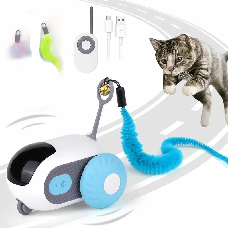 voiture télécommandée chat MiaouGo