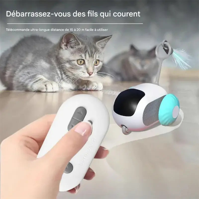 divertissement MiaouGo pour chat