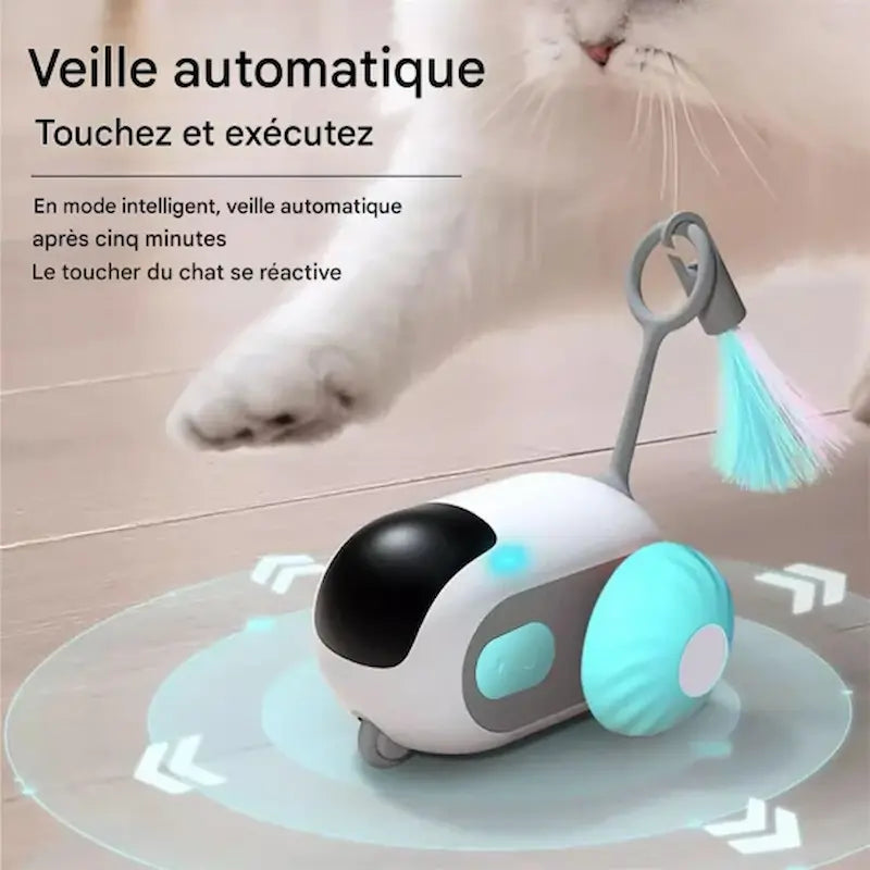 voiture silencieuse pour chat MiaouGo