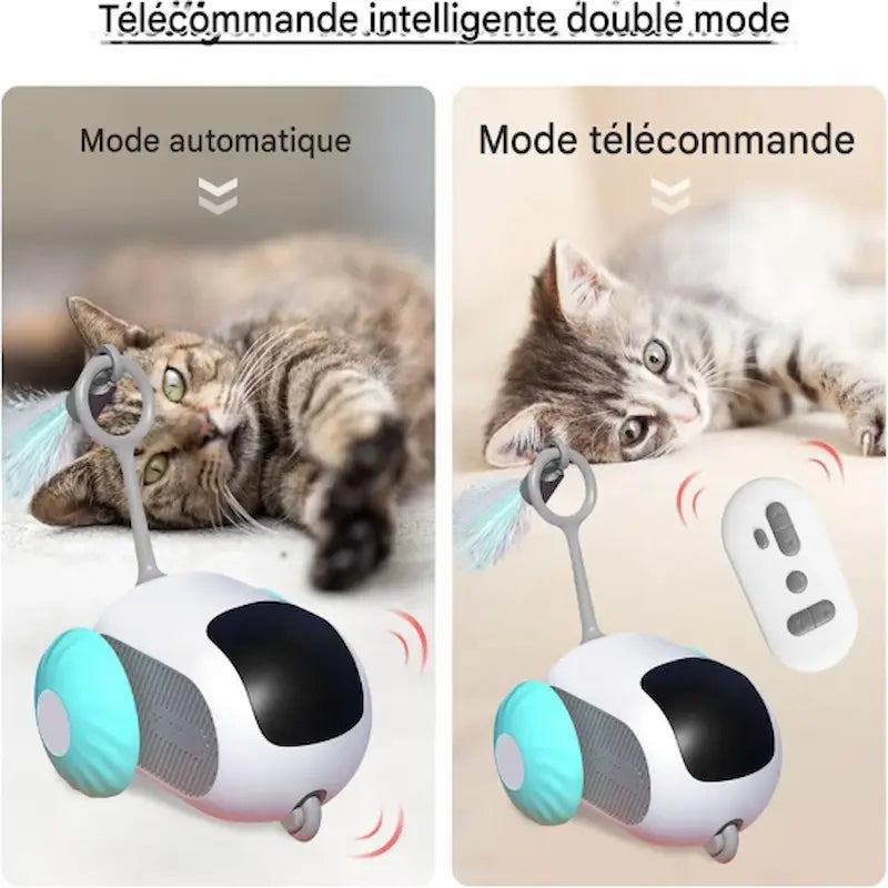 jeu de poursuite MiaouGo pour chat